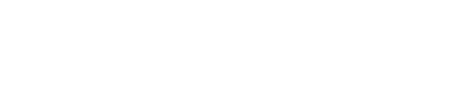 Duolingo
